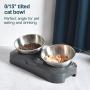 EZMioo Elevated Cat Bowls with 2 Stainless Steel Bowls, 15° Tilted Raised Cat Food and Water Bowls, Stress Free Food Grade Material, Nonslip No Spill Pet Feeding Bowls for Cat and Small Dogs