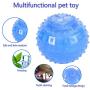 Dog Chew Cooling Toy, Food Leaking Freezer Ball Durable Teeth Cleaning Ice Toys for Small and Large Dogs, Summer, Blue