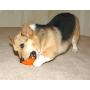 Starmark Everlasting Treat Bento Ball Tough Dog Chew Toy