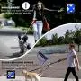 Heavy Duty Dog leashes for Large Dogs ,6Ft Reflective Multifunction Dog Leash with Car Seat Belt Bunckle,2 Padded Traffic Handle Dog Walking Training Shock Absorbing Bungee Leash for Extra Control Heavy Duty Dog leashes for Large Dogs ,6Ft Reflective Multifunction Dog Leash with Car Seat Belt Bunckle,2 Padded Traffic Handle Dog Walking Training Shock Absorbing Bungee Leash for Extra Control