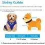 Weewooday 3 Pieces Puppy Harness and Leash Soft Mesh Dog Vest Harness Breathable Dog Vest with Leash No Pull Adjustable Harness for Cats and Puppies (Black, Blue, Pink)