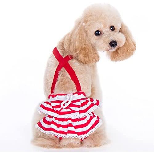 Alfie Pet - Charlotte Diaper Dog Sanitary Pantie with Suspender for Girl Dogs - Color: Red, Size: Medium Alfie Pet - Charlotte Diaper Dog Sanitary Pantie with Suspender for Girl Dogs - Color: Red, Size: Medium