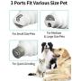 Kiket Dog Nail Grinder, Electric Pet Paw Trimmer Ultra-Quiet Cat Nail Grinder Painless Claw Grooming for Small Large Medium Dogs & Cats, 10 Hours Working Time, Rechargeable, White