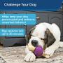 PetSafe Busy Buddy Bouncy Bone, Treat Holding Dog Toy, Small, Medium, Medium/Large and Large Sizes