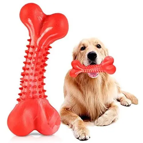 JOYDODY Dog Chew Toys for Aggressive Chewers | Dog Bone Toothbrush Stick for Large Dog Chew Toys & Puppy Dog Toys - Durable Natural Rubber Pet Chews Toy (Beef Flavor) JOYDODY Dog Chew Toys for Aggressive Chewers | Dog Bone Toothbrush Stick for Large Dog Chew Toys & Puppy Dog Toys - Durable Natural Rubber Pet Chews Toy (Beef Flavor)