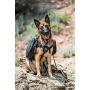 OllyDog Trekker RF Dog Harness with Packs, Made from Lightweight, Recycled Fabric and Lightly Padded for Comfort Walking or Hiking, for Medium or Large Dogs