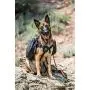 OllyDog Trekker RF Dog Harness with Packs, Made from Lightweight, Recycled Fabric and Lightly Padded for Comfort Walking or Hiking, for Medium or Large Dogs OllyDog Trekker RF Dog Harness with Packs, Made from Lightweight, Recycled Fabric and Lightly Padded for Comfort Walking or Hiking, for Medium or Large Dogs