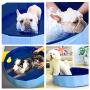 PAWISE Swimming Pool for Dogs Outdoor Foldable Pet Dog Bath Tube Collapsible