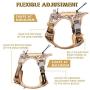 PETAGE Dog Harness and Dog Leash 6FT Heavy Duty Dog Leash with 2 Padded Handles