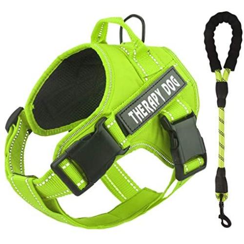 Bolux Dog Harness, No Pulling Pet Vest Harness Service Dogs Vest with Nylon Handle Easy Control in Training Pet Halters with Dog Leash for Medium Large Dogs