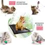 Cat Perch Cat Window Perch Window Cat Perch Hammock Cat Window Hammock Bed Cat Window Seat Kitty Window Sunny Seat Durable Big Pet Perch with Upgraded 4 Big Suction Cups Cat Bed Holds Up to 60lbs