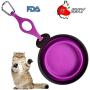 Visky Pet Travel Cup/Bowl Small Animal TPE Bowls Dog Cat Rabbit Collapsible & Portable Bowl With Carabiner-Purple