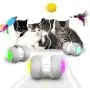 k-berho Cat Toys Interactive, Cat Toys for Indoor with Feather,Ball,Mouse and 2 Color Ribbons,Automatic Cat Toy with Irregular USB Charging 360 Degree Self Rotating Ball k-berho Cat Toys Interactive, Cat Toys for Indoor with Feather,Ball,Mouse and 2 Color Ribbons,Automatic Cat Toy with Irregular USB Charging 360 Degree Self Rotating Ball
