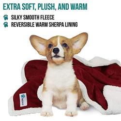 PetAmi Premium Plush Sherpa Pet Blanket Sized for Cats, Small Dogs, Puppies, Kittens - 30x40