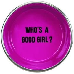 Proselect Chitchat Stainless Steel Dog Bowl