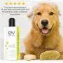 Earth Vibes Natural Oatmeal Dog Shampoo + Conditioner for Dry Itchy Skin - Dogs, Cats, Pets - Hypoallergenic Medicated Veterinary Formula with Organic Aloe Vera - Itchy Sensitive Skins Earth Vibes Natural Oatmeal Dog Shampoo + Conditioner for Dry Itchy Skin - Dogs, Cats, Pets - Hypoallergenic Medicated Veterinary Formula with Organic Aloe Vera - Itchy Sensitive Skins