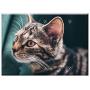 Triple Blank Wall Plate Cover - Cat Domestic Cat Tiger Cat Pet Mackerel