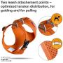 Curli Basic Air Mesh Harness