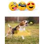 JKQ Soft Cat Balls Colorful Rubber Scratching Balls Pet Chew Toys Ball Bite Resistant Training Toys Treat Balls for Small Dogs, Cats, Kittens