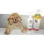 Warren London 2in1 Pet Shampoo Plus Conditioner with Vitamin E & Shea Butter - 17oz & 1 Gallon Sizes - Made in USA Warren London 2in1 Pet Shampoo Plus Conditioner with Vitamin E & Shea Butter - 17oz & 1 Gallon Sizes - Made in USA