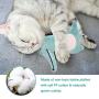 N/W Cat Toys Catnip Toys, Plush Cat Toys Bite Resistant Pet Toys Cotton Filling Toys Christmas Cat Toys Animal Shape Catnip Cat Chew Toys for Kittens and Adult Cats (6 PCS)