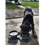 Dog Travel Bowls. Large Bowl for Water and Food. Collapsible, Foldable and Portable. Ideal When Walking, Hiking, Camping, Travelling or just Outdoors with Your Cat, Puppy or Pet. BPA Free Silicone Dog Travel Bowls. Large Bowl for Water and Food. Collapsible, Foldable and Portable. Ideal When Walking, Hiking, Camping, Travelling or just Outdoors with Your Cat, Puppy or Pet. BPA Free Silicone