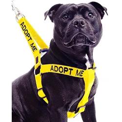 Dexil Limited Adopt ME Yellow Color Coded L-XL Non-Pull Dog Harness (New Home Needed) Donate to Your Local Charity