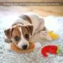 Fansport 13 Pack Dog Squeaky Toys Cute Plush Toys Stuffed Fruits Vegetables Dog chew Toy Squeaky Dog Toys for Puppy Small Dog Pets Fansport 13 Pack Dog Squeaky Toys Cute Plush Toys Stuffed Fruits Vegetables Dog chew Toy Squeaky Dog Toys for Puppy Small Dog Pets