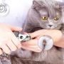 Tpotato Dog Nail Clippers, Dog Nail Trimmer Large Breed with Quick Sensor,Safari Professional cat Nail Clipper with Safety Guard and Nail File.