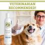 Wholistic Pet Organics Pet Shampoo Concentrate: Heavenly Herbal Organic Dog Shampoo and Conditioner - All Natural Puppy and Cat Shampoo for Dry, Itchy Skin, Allergies, Dandruff - Flea Shampoo - 16 Oz