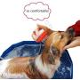 Generic Brands 2-in-1 Dog Shower Sprayer Scrubber - Professional Dog Bath Shower Head Pet Bathing Tool Dog Cat Shower Sprayer Attachment Bath Accessories for Indoor Outdoor Use