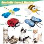 BINGPET Interactive Cat Toys for Indoor Cats - 4 Pack Butterfly, Bee, Beetle for Cat Wand Replacement, Soft Plush Cat Toy with Crinkle Paper, Dragonfly Realistic Insect for Cat Playing or Pole Refill
