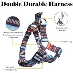 QQPETS Dog Harness Leash Set,Adjustable Vest Durable Heavy Duty Puppy Small Medium Large Dogs Perfect for Walking Running Training Splicing