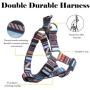 QQPETS Dog Harness Leash Set,Adjustable Vest Durable Heavy Duty Puppy Small Medium Large Dogs Perfect for Walking Running Training Splicing