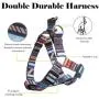 QQPETS Dog Harness Leash Set,Adjustable Vest Durable Heavy Duty Puppy Small Medium Large Dogs Perfect for Walking Running Training Splicing QQPETS Dog Harness Leash Set,Adjustable Vest Durable Heavy Duty Puppy Small Medium Large Dogs Perfect for Walking Running Training Splicing