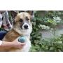 PetWell All-Over Handheld Massage Roller Pets (Dogs, Cats)