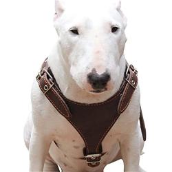 Brown Genuine Leather Dog Harness, Medium. 25''-30'' Chest, 1'' Wide Adjustable Straps