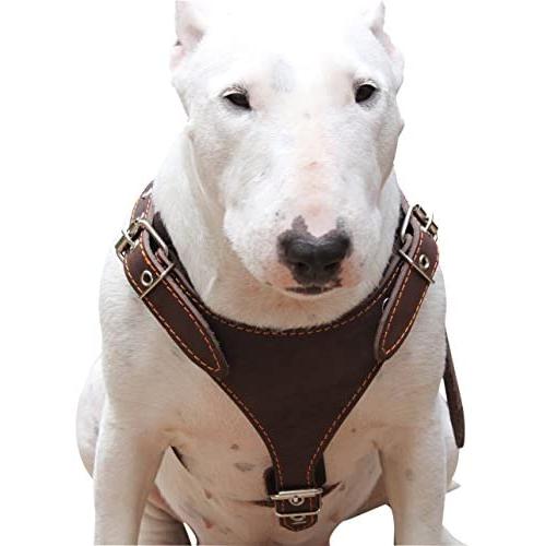 Brown Genuine Leather Dog Harness, Medium. 25''-30'' Chest, 1'' Wide Adjustable Straps