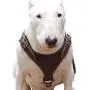 Brown Genuine Leather Dog Harness, Medium. 25''-30'' Chest, 1'' Wide Adjustable Straps Brown Genuine Leather Dog Harness, Medium. 25''-30'' Chest, 1'' Wide Adjustable Straps