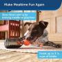 PetSafe Small Sportsmen Tug A Jug Pet Chew Toy