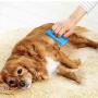 SKYPIA 4 Packs Combs Double Sided Pet Combs Grooming Flea Tick Lice Dandruff Removal Fine Tooth Hair Combs for Cats Dogs Puppy