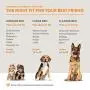 Moots Premium Leatherette Pets Sofa
