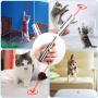 Cat Toys, Interactive Cat Toy for Indoor Cats, Kitten Chase Toys for Kitten Playing, Stainless Steel Cat Wand Toy, Pet Training Exercising Stick Toy, USB Rechargeable, Three Modes, Durable & Portable