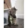 Petlinks 49723 Wild Waver Diffuser Wand with Leaves Hyper Nip Catnip Toy Petlinks 49723 Wild Waver Diffuser Wand with Leaves Hyper Nip Catnip Toy