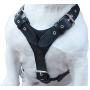 Genuine Leather Dog Harness Large 28''-35'' Chest, 1.3'' Wide Adjustable Straps