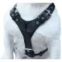 Genuine Leather Dog Harness Large 28''-35'' Chest, 1.3'' Wide Adjustable Straps