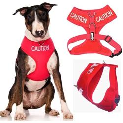 Dexil Limited Caution (Do Not Approach) Red Color Coded Non-Pull Front and Back D Ring Padded and Waterproof Vest Dog Harness Prevents Accidents by Warning Others of Your Dog in Advance