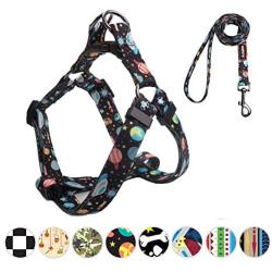 QQPETS Dog Harness and Leash Set Adjustable Back Clip No Pull Quick Fit/Release Halter Harness with Heavy Duty Leash 5FT Long for Extra Small Medium Large Breed Dogs Training Easy Walk