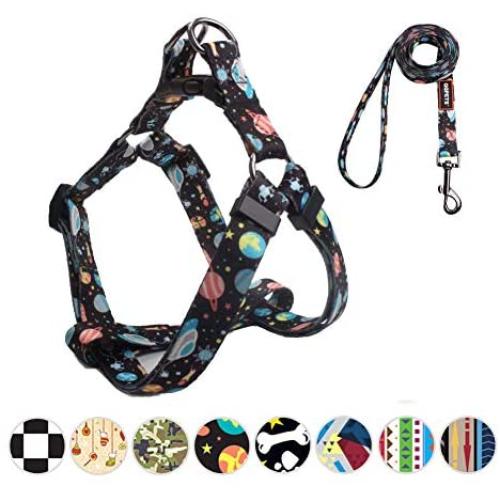 QQPETS Dog Harness and Leash Set Adjustable Back Clip No Pull Quick Fit/Release Halter Harness with Heavy Duty Leash 5FT Long for Extra Small Medium Large Breed Dogs Training Easy Walk