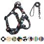 QQPETS Dog Harness and Leash Set Adjustable Back Clip No Pull Quick Fit/Release Halter Harness with Heavy Duty Leash 5FT Long for Extra Small Medium Large Breed Dogs Training Easy Walk